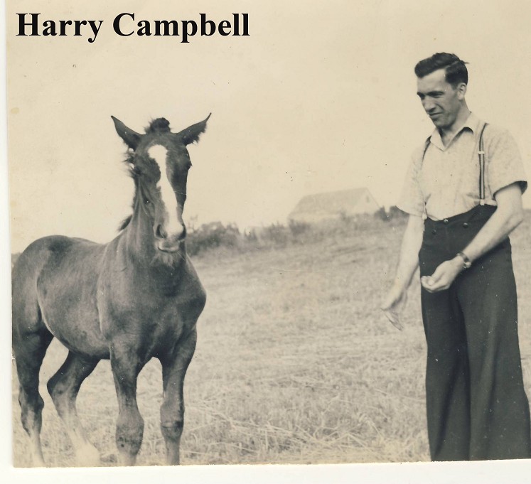 MHarry Campbell